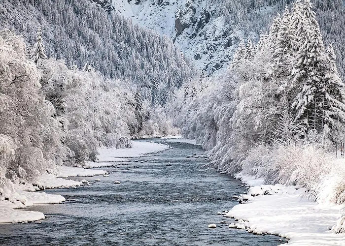 Haus Elmerhof 게스트하우스 3*