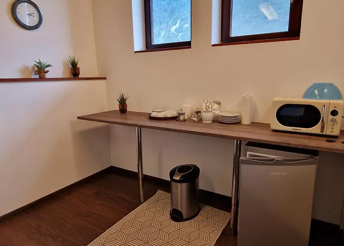 Haus Elmerhof 게스트하우스 3*